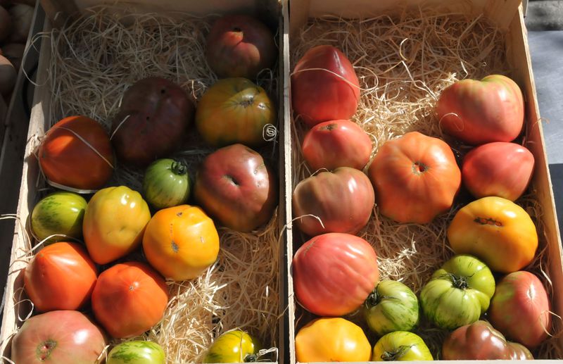 Datei:Tomaten-Provence-CTH.JPG