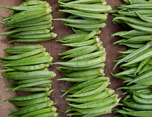 Zutat:Okra – Koch-Wiki