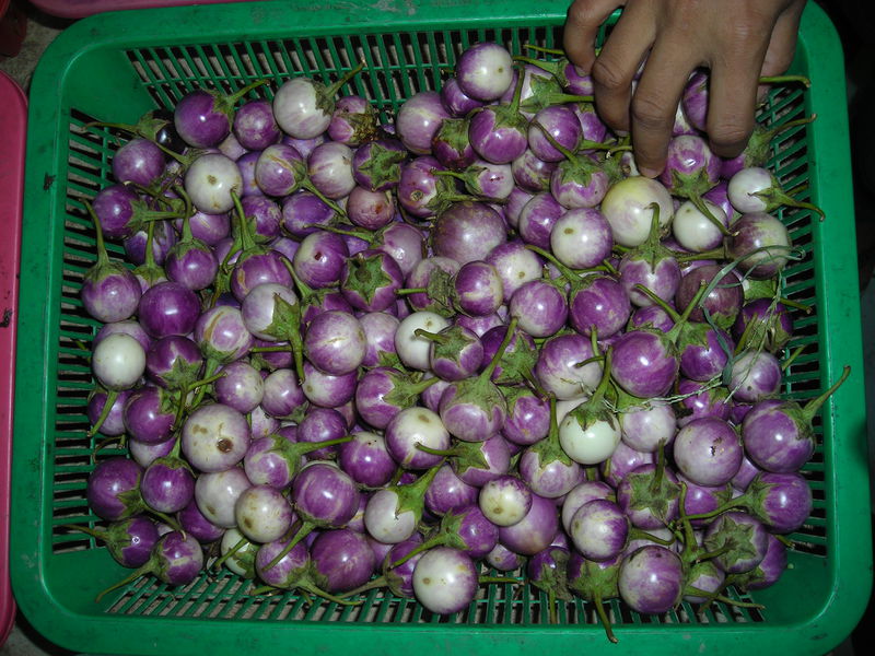 Datei:Thai-aubergine.jpg